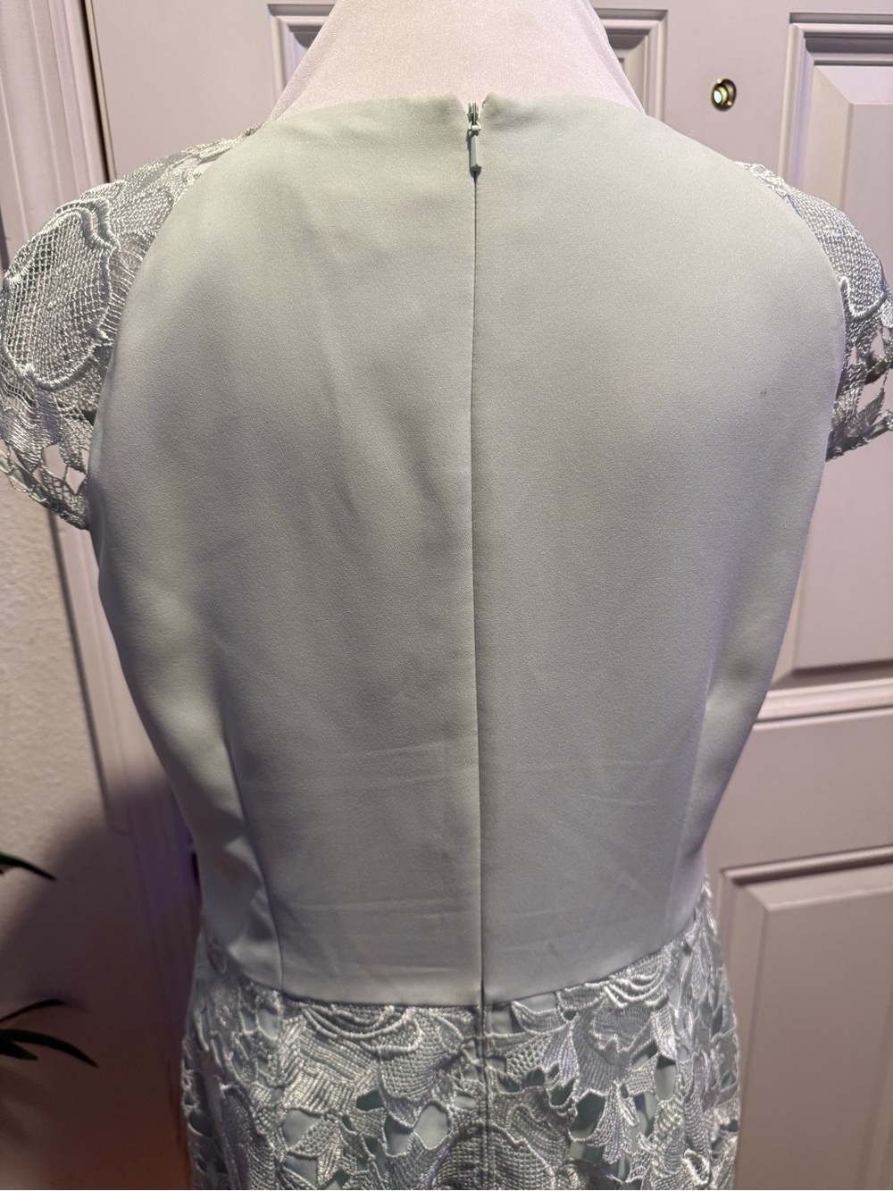 Ted Baker Raenna Mint Green Lace Sheath Dress 4 Elegant Cocktail Wedding Guest - Picture 11 of 14